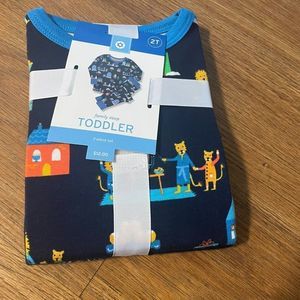 Lions Toddler Family Sleep Set  Blue Size 2T